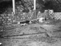 25497 1385767091198 1442661577 1038268 3843158 n